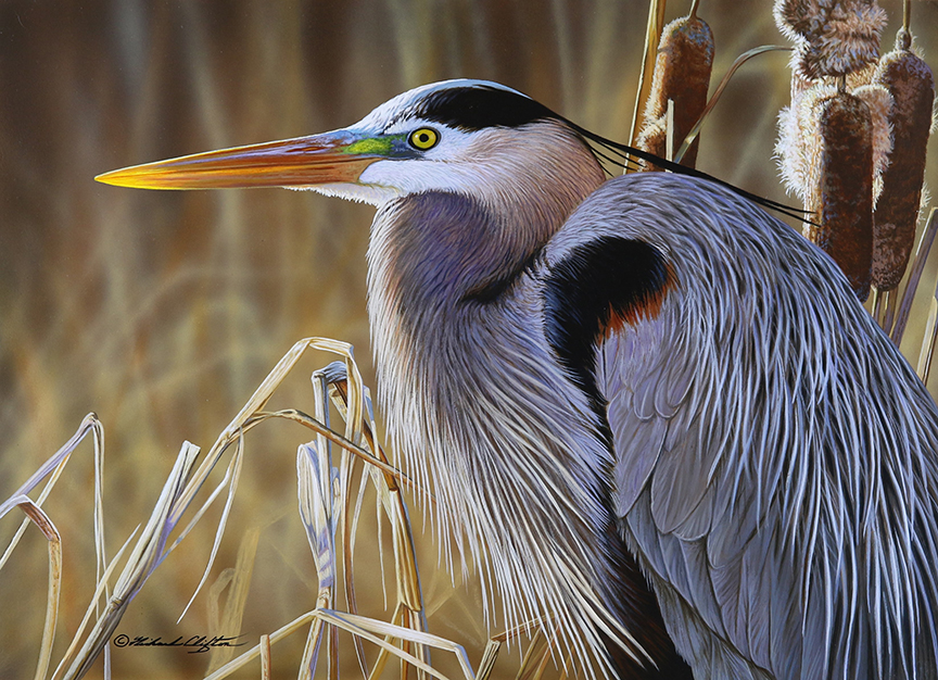 RC – Early Spring – GBH © Richard Clifton