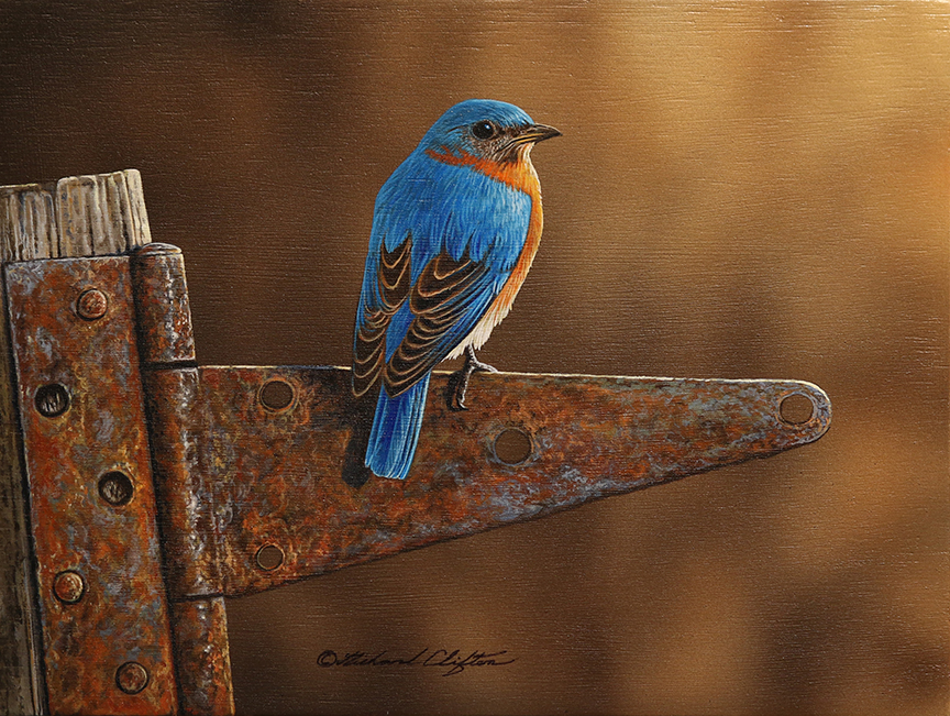 RC – Unhinged – Bluebird © Richard Clifton