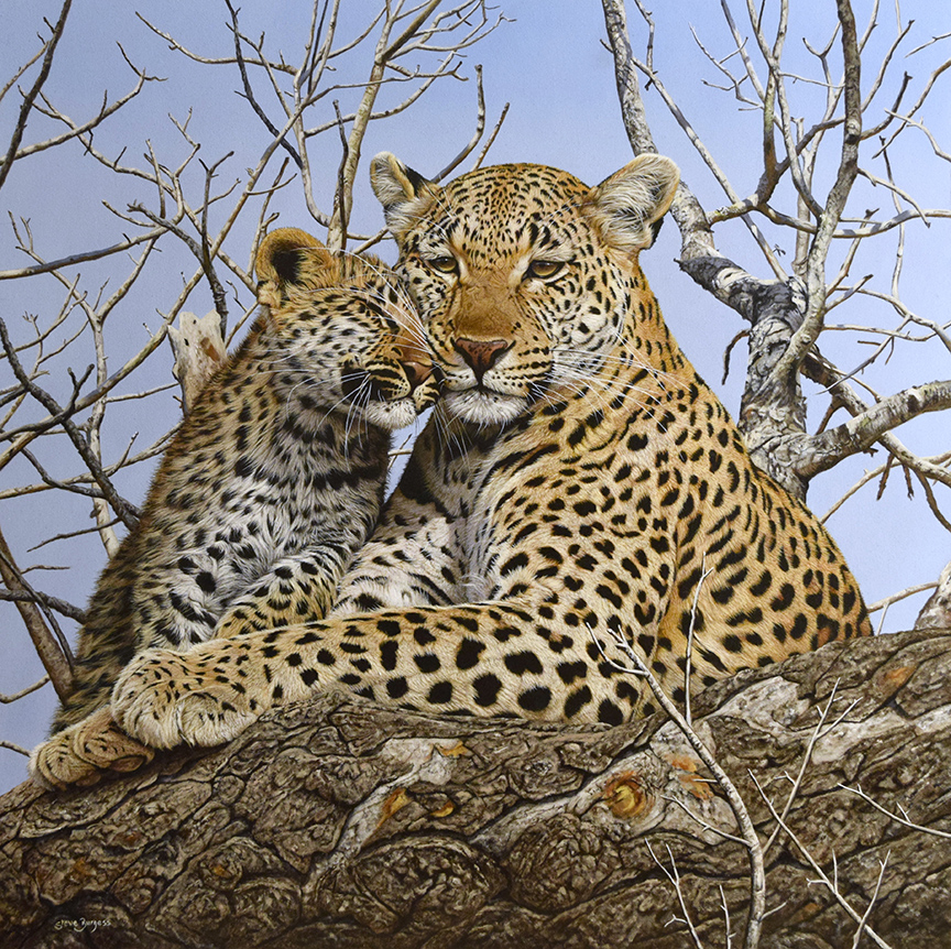 SB – Family Tree – Leopards © Steve Burgess
