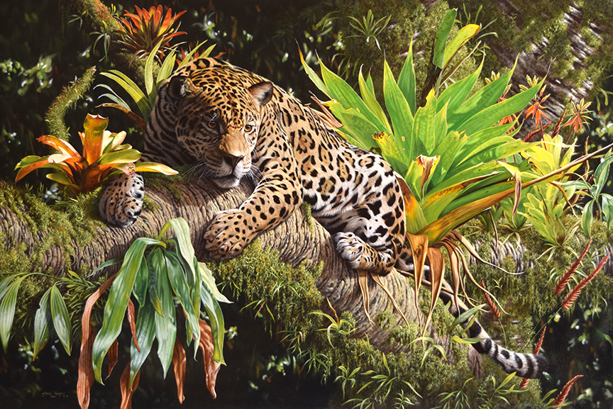 SB – Spirit of the Pantanal © Steve Burgess