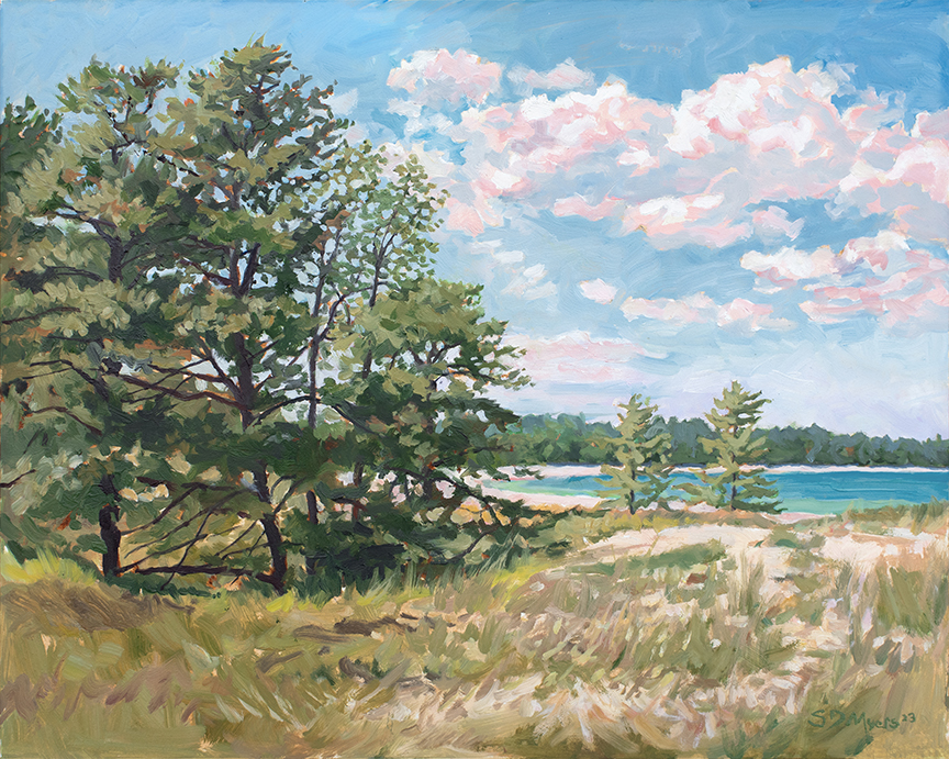 SM – Jack Pines on the Bay © Stan Myers