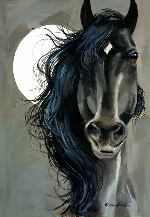 WB – Black Horse © William Biddle