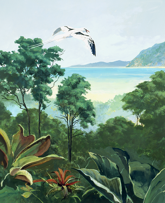 WRSH – Dominica Rainforest – Bird Flying Over by John Swatsley B11953 © Wind River Studios Holdings, LLC