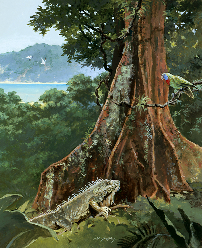 WRSH – Dominica Rainforest – Lizard and Birds by John Swatsley B11954 © Wind River Studios Holdings, LLC