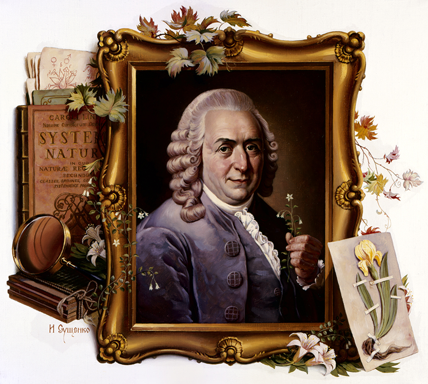 WRSH – Portraits – Carolus Linnaeus by Ivan Akimovich Sushchenko B10751 © Wind River Studios Holdings, LLC