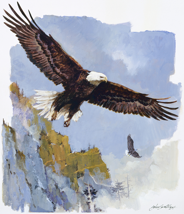 WRSH – Wildlife – Bald Eagle by John Swatsley B09487 © Wind River Studios Holdings, LLC