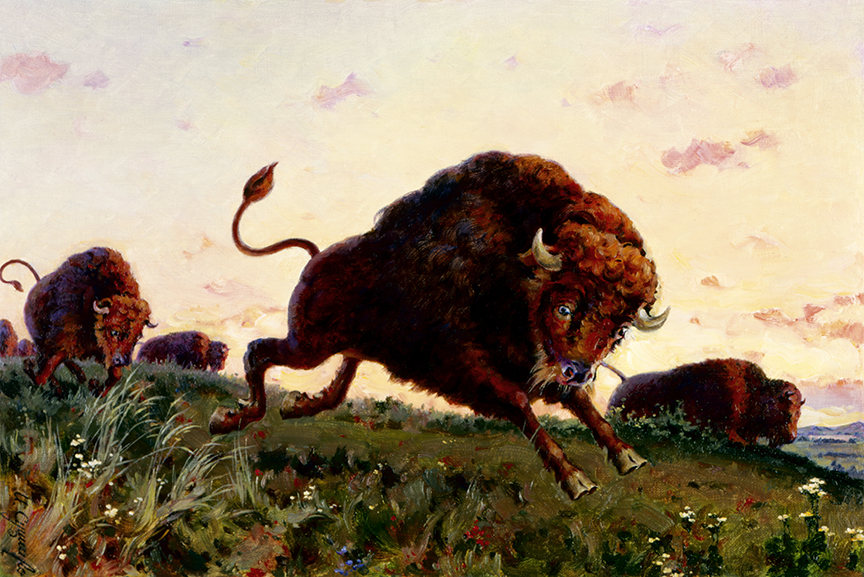 WRSH – Wildlife – Buffalo by Ivan Akimovich Sushchenko B16914 © Wind River Holdings, LLC