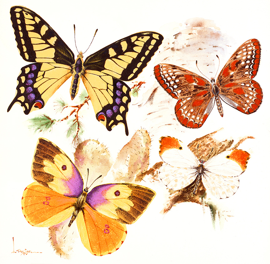 WRSH – Wildlife – Butterflies by Lyle Tayson B05118 © Wind River Studios Holdings, LLC
