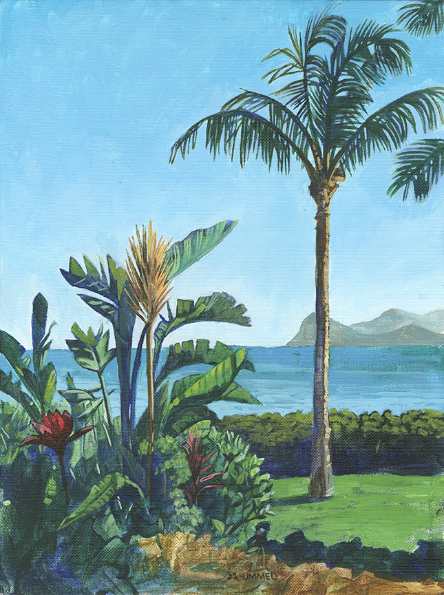 BH2 – 2 Hawaii Landscape © Benjamin Hummel