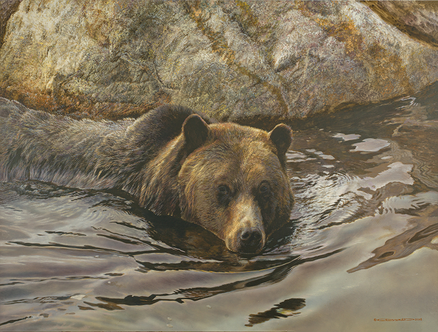 CB – Grizzly Bear © Carl Brenders