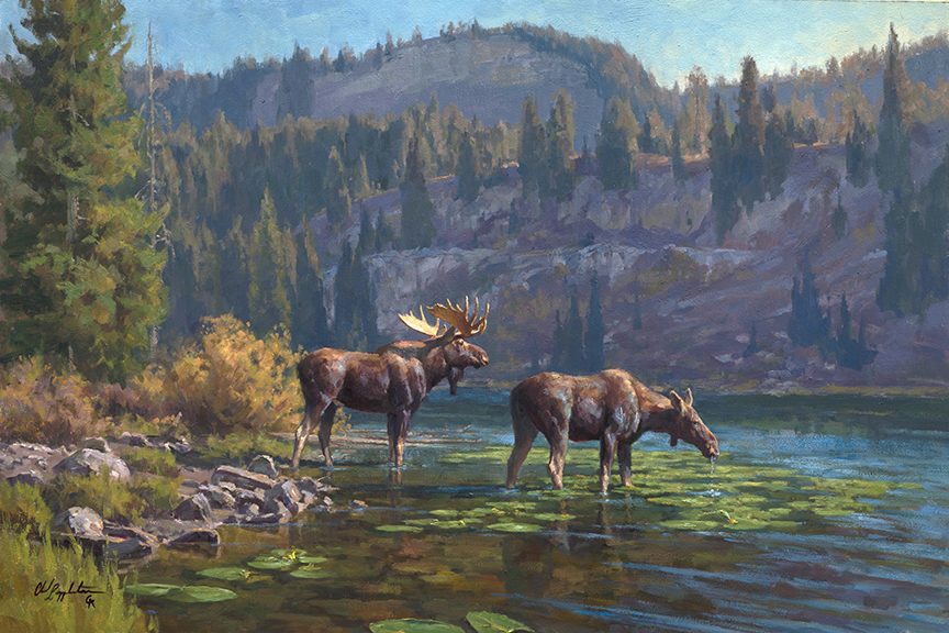 CP – Moose Couple © Chad Poppleton