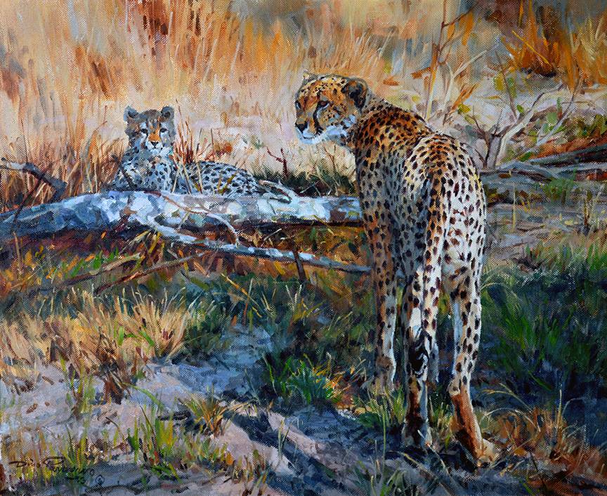 DP2 – Cheetah with Cub © Dino Paravano