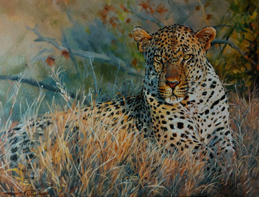 DP2 – Leopard © Dino Paravano