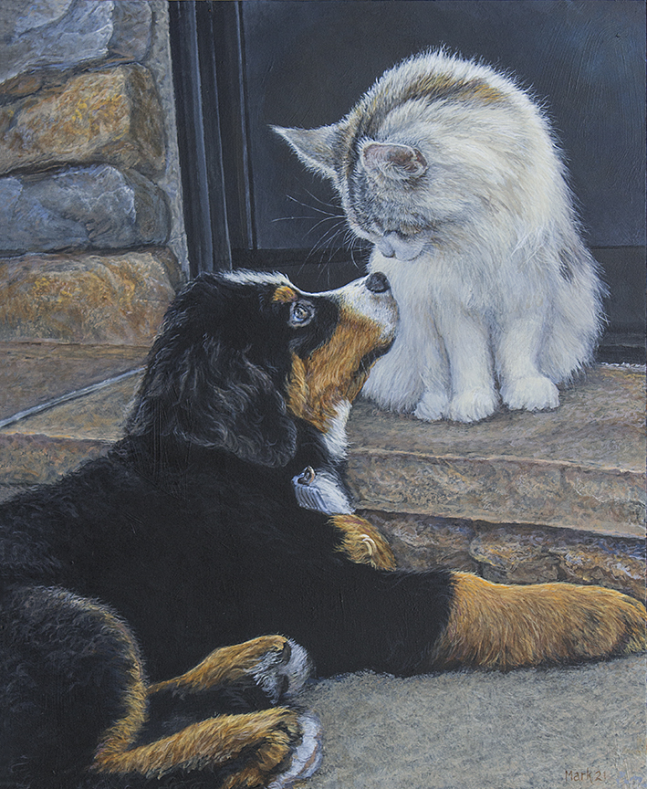 LMF – Friends – Bernese and Cat © Laura Mark-Finberg