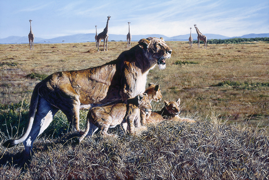 SB – Lion Family with Giraffes in Background © Steve Burgess