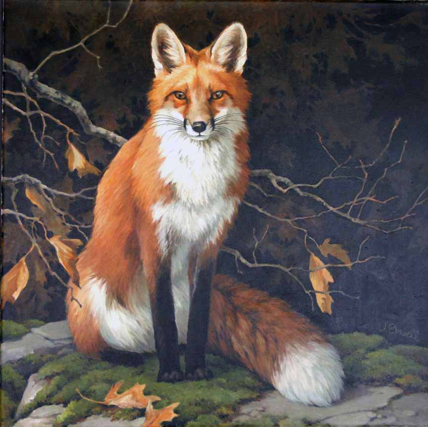 VB – Autumn Fox © Vivian Boswell