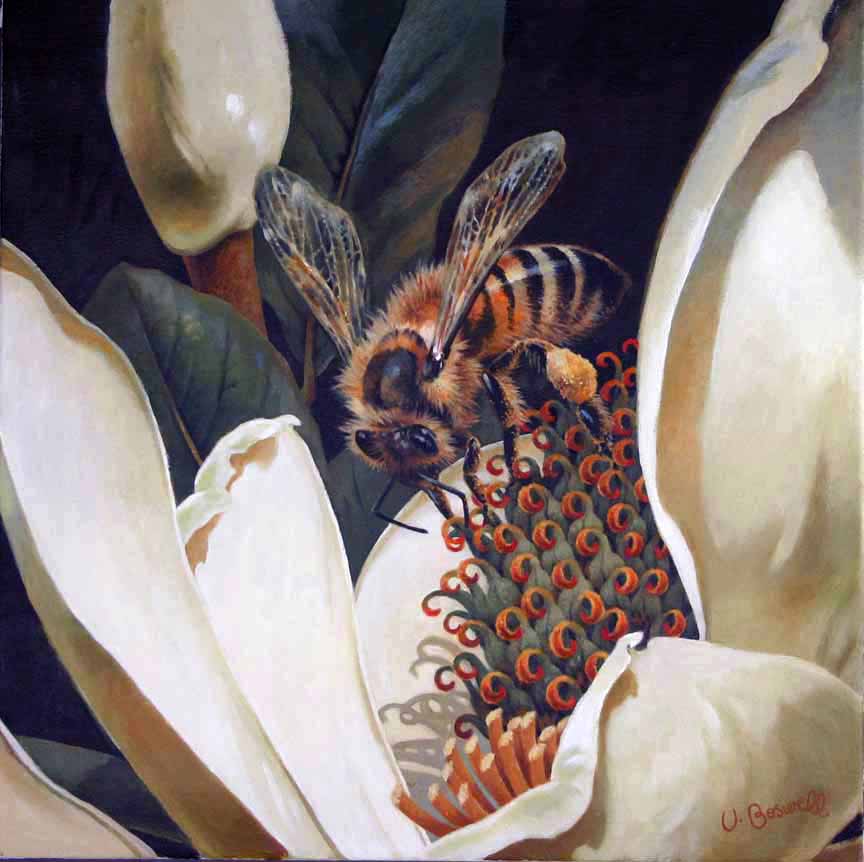 VB – Nectar and Pollen © Vivian Boswell