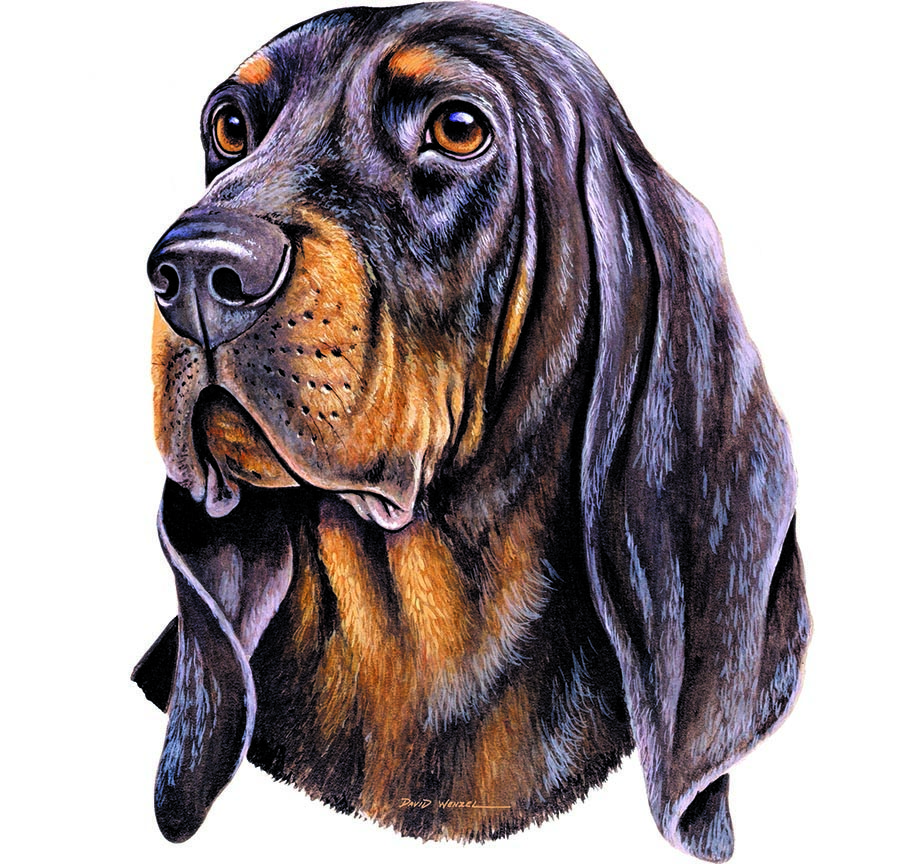 ABH – 1Dogs Black and Tan Coonhound 12376 © Art Brands Holdings, LLC