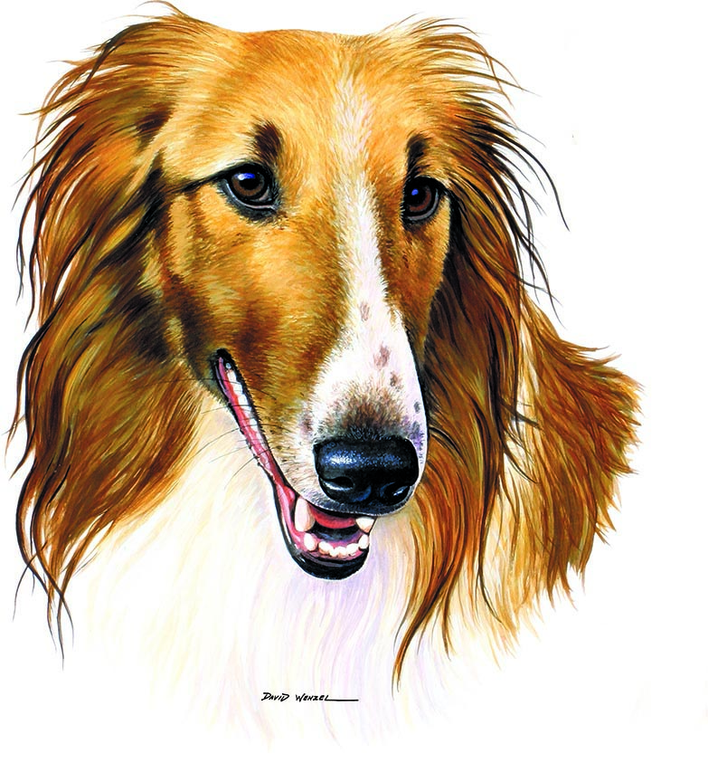 ABH – 1Dogs Borzoi 12415 © Art Brands Holdings, LLC