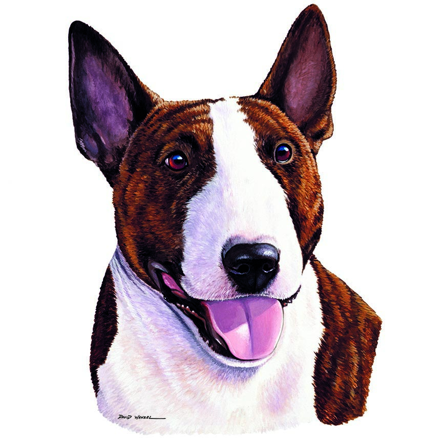 ABH – 1Dogs Bull Terrier 12351 © Art Brands Holdings, LLC