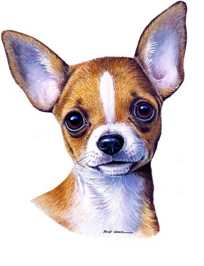 ABH – 1Dogs Chihuahua 12342 © Art Brands Holdings, LLC