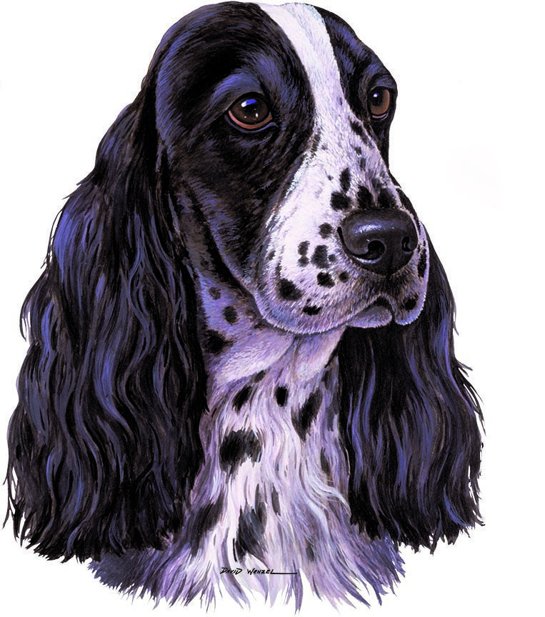 ABH – 1Dogs English Cocker Spaniel 08735 © Art Brands Holdings, LLC