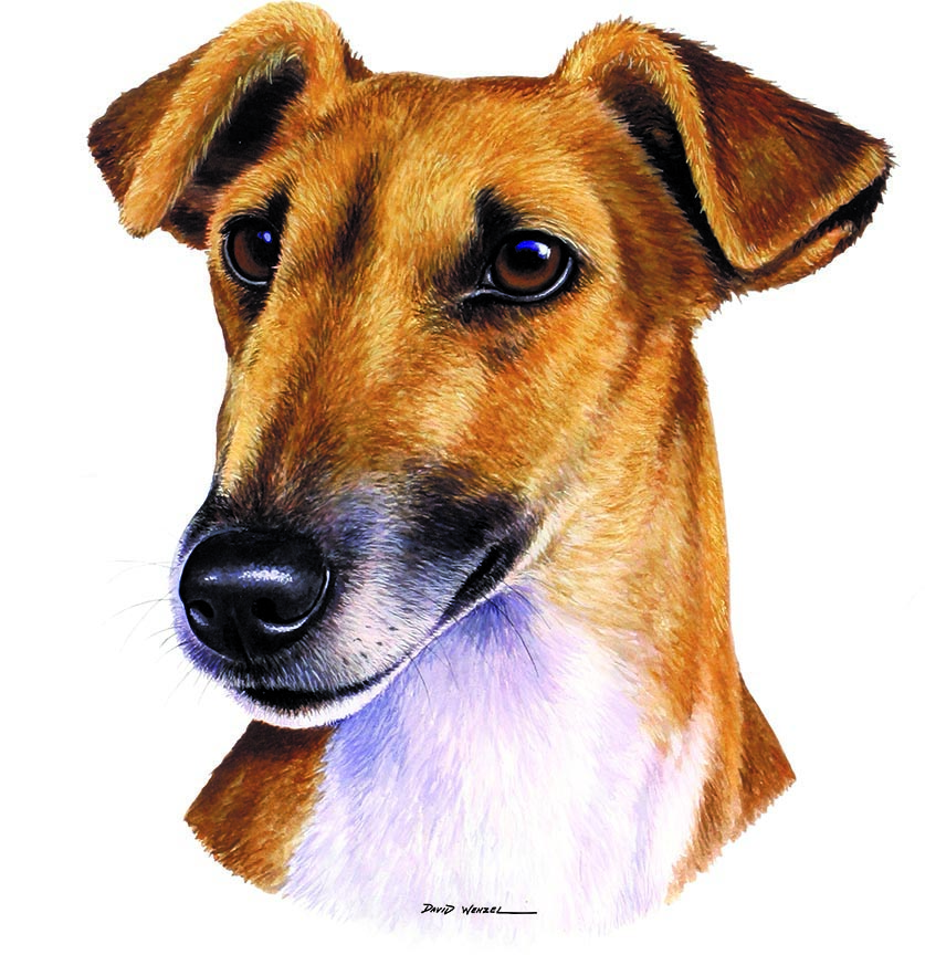 ABH – 1Dogs Fox Terrier 12408 © Art Brands Holdings, LLC