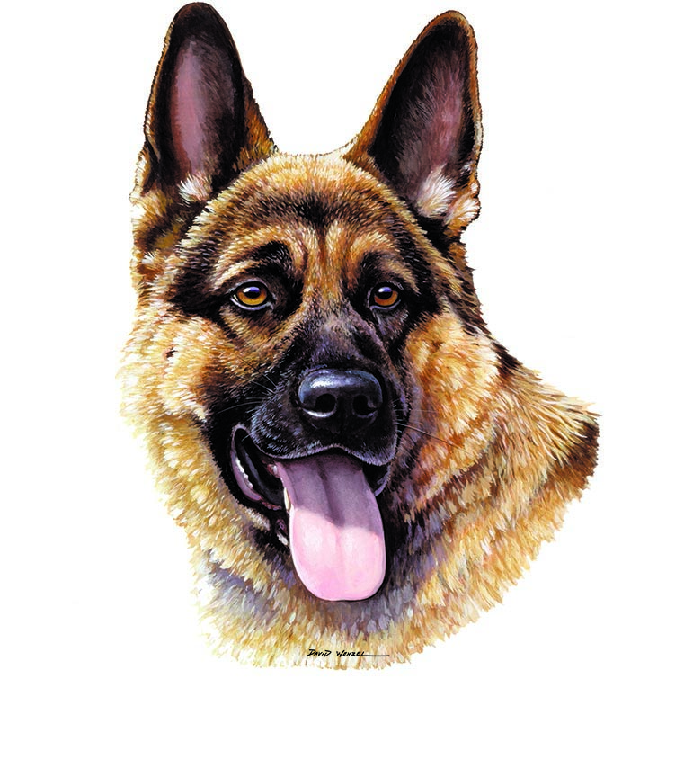 ABH – 1Dogs German Shepherd 12322 © Art Brands Holdings, LLC