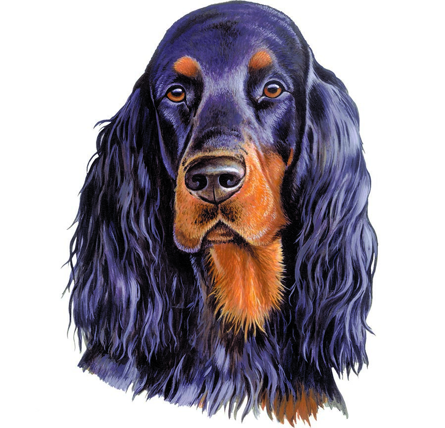 ABH – 1Dogs Gordon Setter 12312 © Art Brands Holdings, LLC