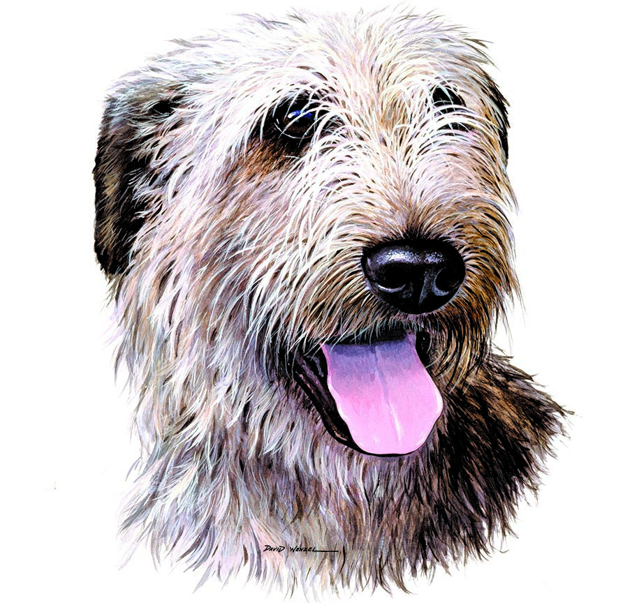 ABH – 1Dogs Irish Wolfhound 12372 © Art Brands Holdings, LLC