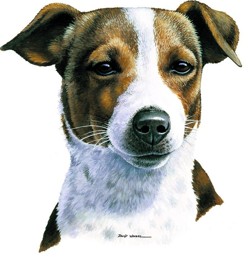 ABH – 1Dogs Jack Russell Terrier 12306 © Art Brands Holdings, LLC