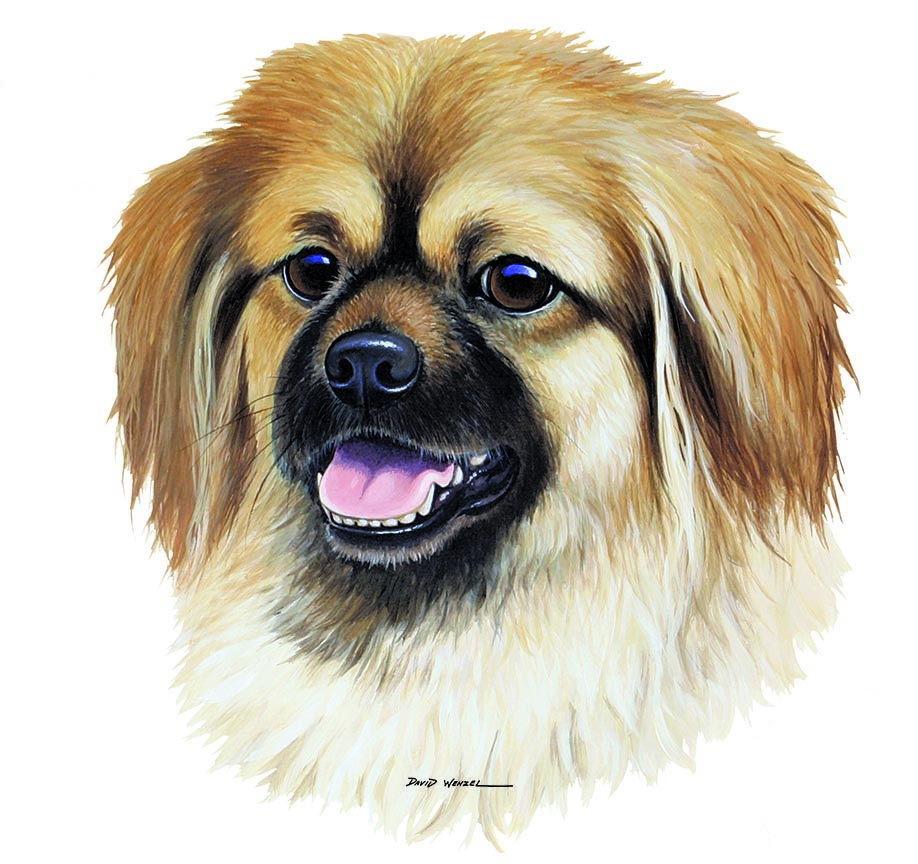 ABH – 1Dogs PekePom 12429 © Art Brands Holdings, LLC