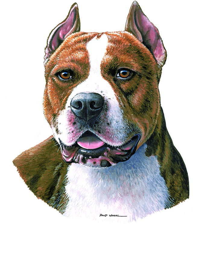 ABH – 1Dogs Pit Bull 12305 © Art Brands Holdings, LLC