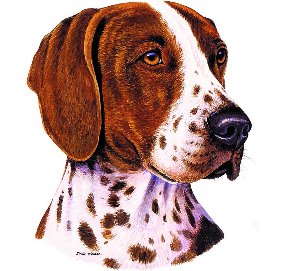 ABH – 1Dogs Pointer 12418 © Art Brands Holdings, LLC