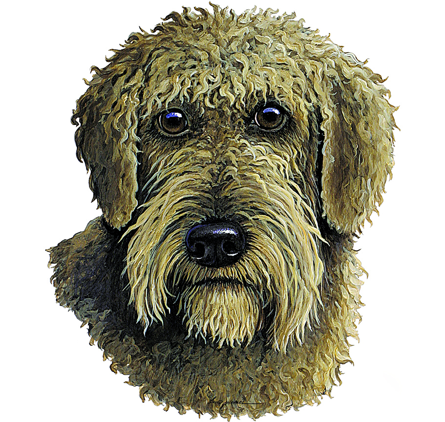 ABH – 1Dogs Schnoodle 12423 © Art Brands Holdings, LLC