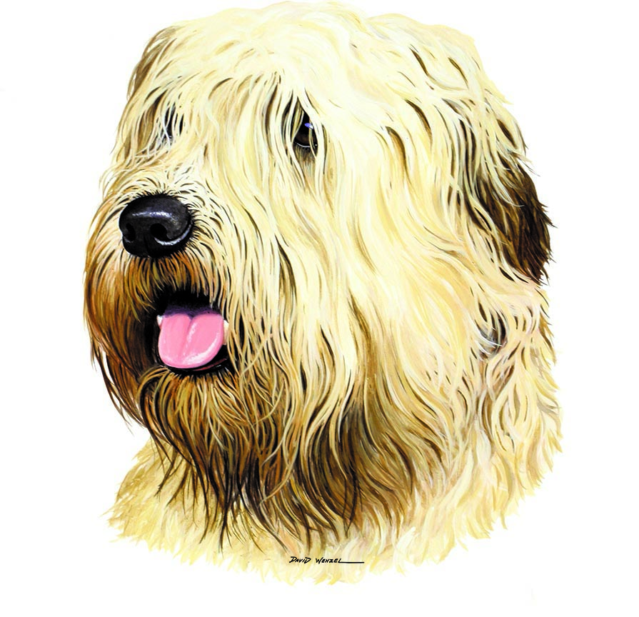 ABH – 1Dogs Wheaten Terrier 12406 © Art Brands Holdings, LLC