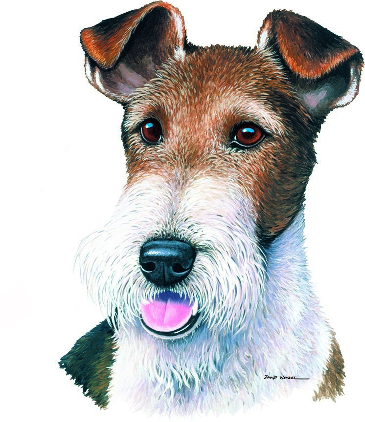 ABH – 1Dogs Wirefox Terrier 12364 © Art Brands Holdings, LLC