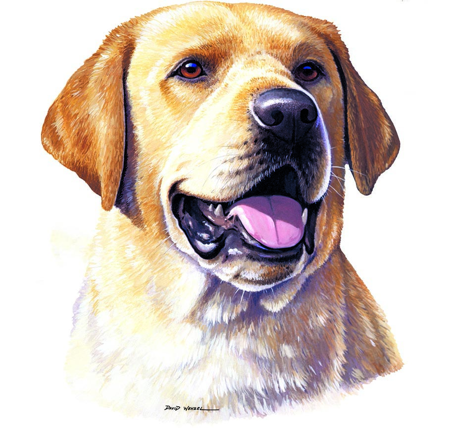 ABH – 1Dogs Yellow Labrador Retriever 12327 © Art Brands Holdings, LLC