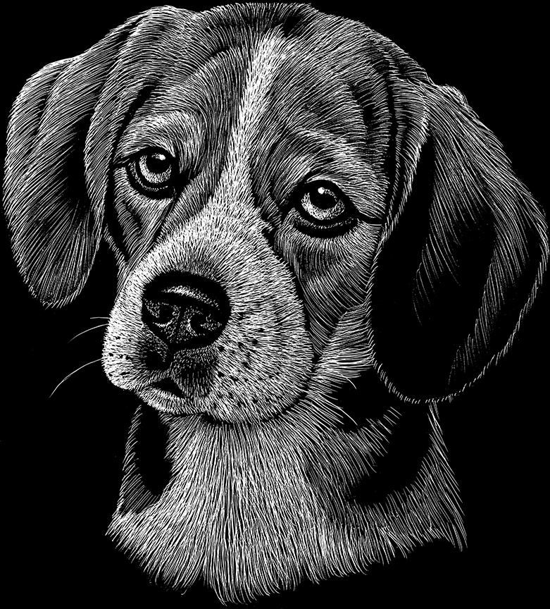 ABH – 2Dogs BW Beagle 22250 © Art Brands Holdings, LLC