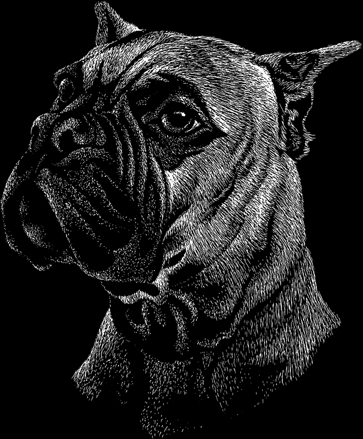 ABH – 2Dogs BW Boxer 22412 © Art Brands Holdings, LLC