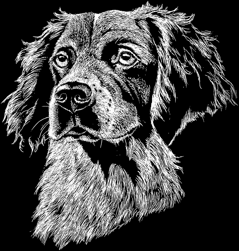 ABH – 2Dogs BW Brittany Spaniel 00366 © Art Brands Holdings, LLC