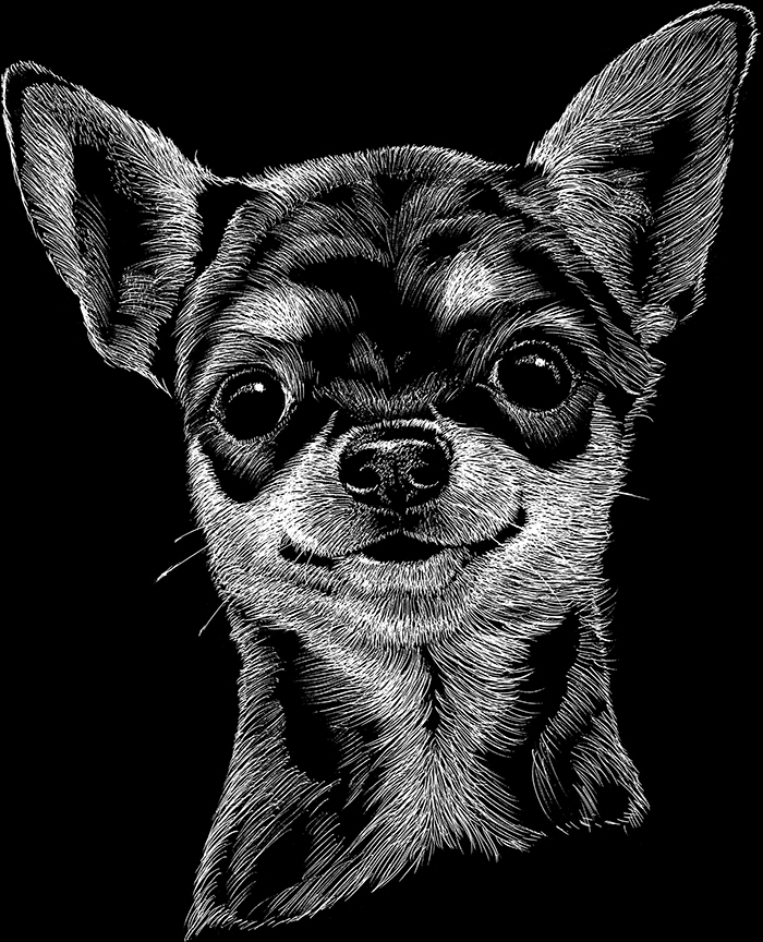 ABH – 2Dogs BW Chihuahua 22252 © Art Brands Holdings, LLC