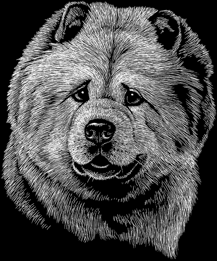 ABH – 2Dogs BW Chow Chow 00545 © Art Brands Holdings, LLC