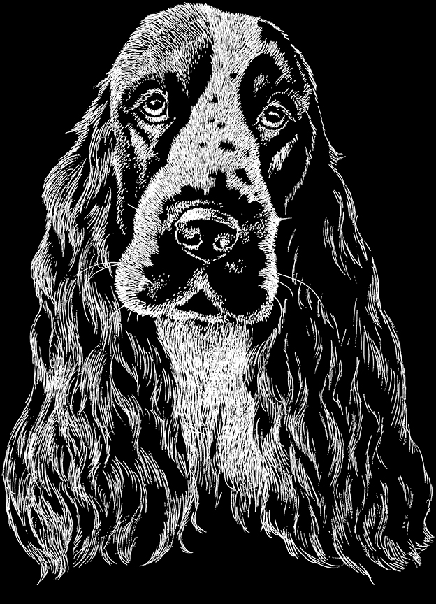 ABH – 2Dogs BW Cocker Spaniel 00386 © Art Brands Holdings, LLC