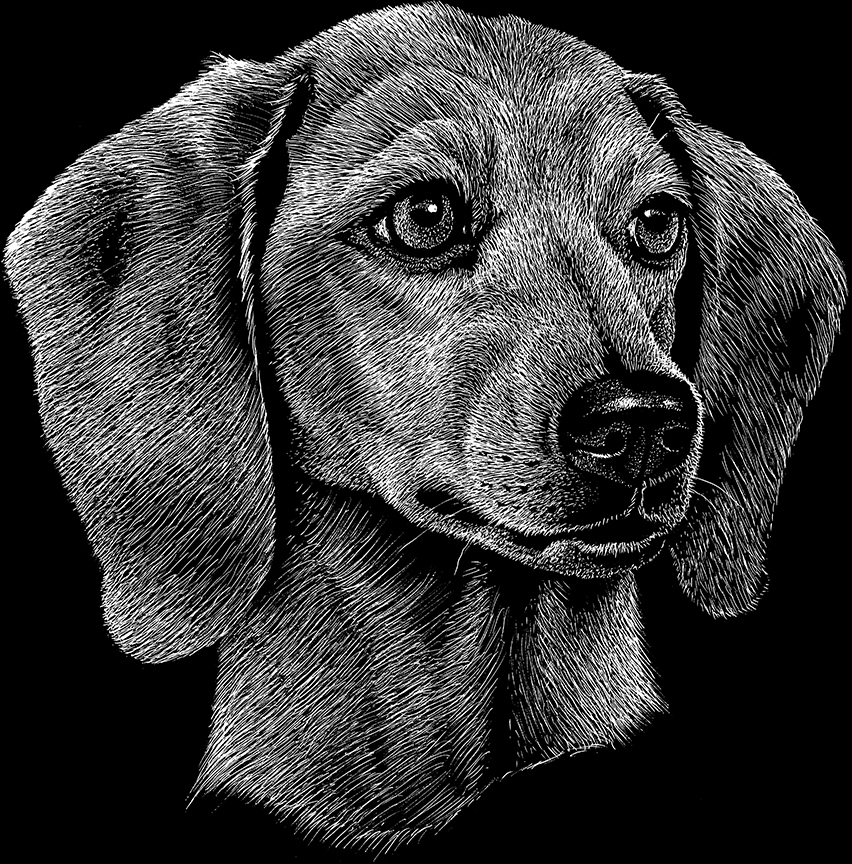 ABH – 2Dogs BW Dachshund 22253 © Art Brands Holdings, LLC