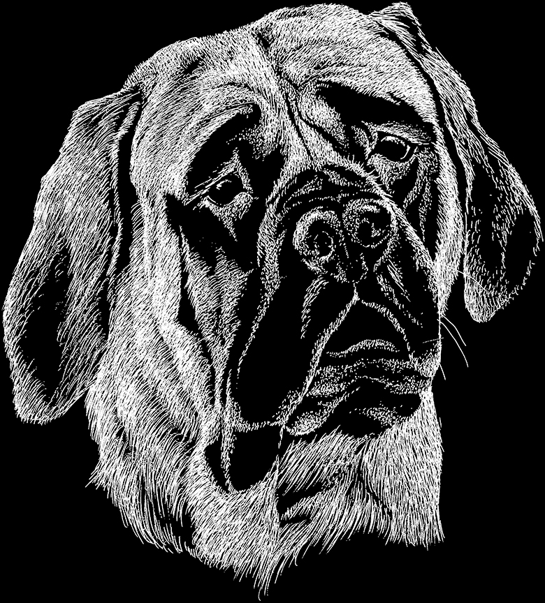 ABH – 2Dogs BW English Mastiff 00384 © Art Brands Holdings, LLC