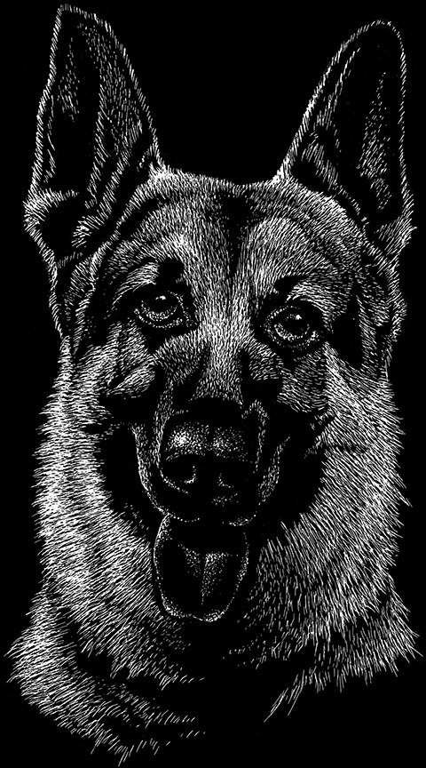 ABH – 2Dogs BW German Shepherd 22254 © Art Brands Holdings, LLC
