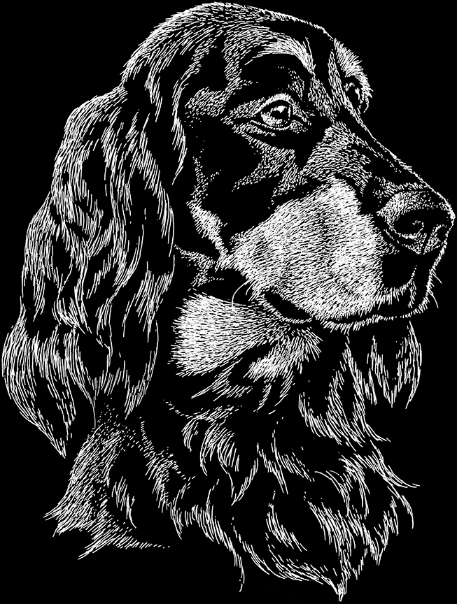 ABH – 2Dogs BW Gordon Setter 00368 © Art Brands Holdings, LLC