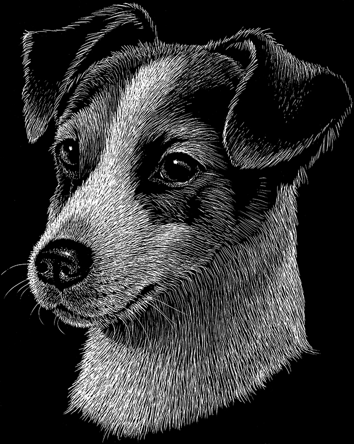 ABH – 2Dogs BW Jack Russell 22255 © Art Brands Holdings, LLC