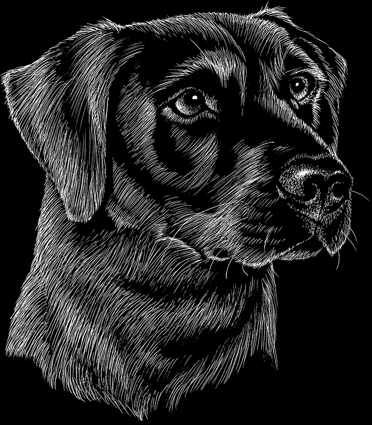 ABH – 2Dogs BW Labrador Retriever 22256 © Art Brands Holdings, LLC